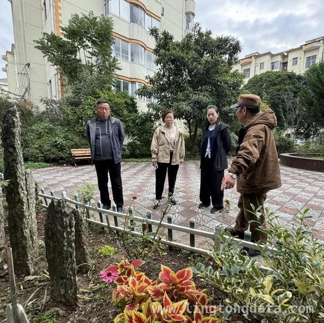 西渡街道基层治理新举措，打造和美社区新典范，西渡街道：以“和美行动”为钥，开启基层治理新篇章