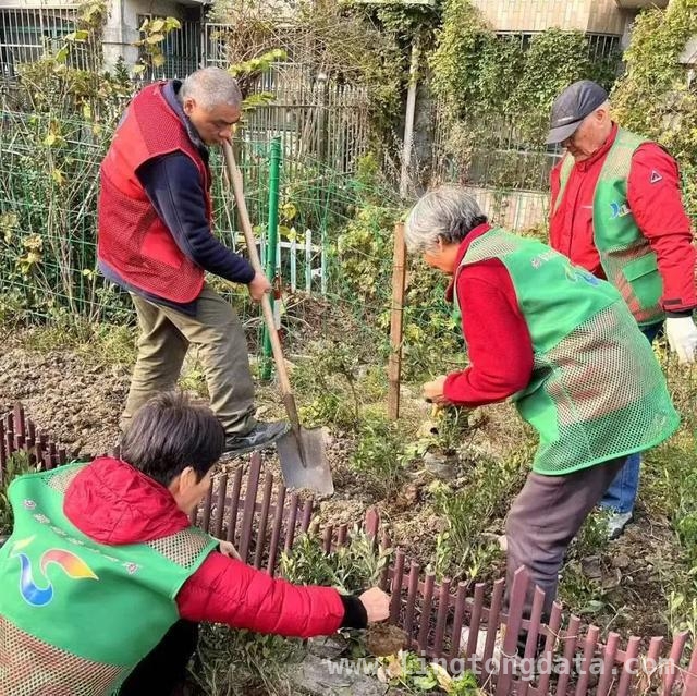 西渡街道基层治理新举措，打造和美社区新典范，西渡街道：以“和美行动”为钥，开启基层治理新篇章