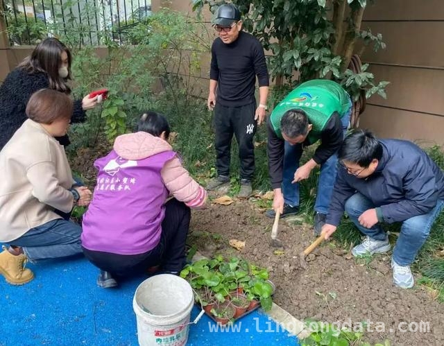 西渡街道基层治理新举措，打造和美社区新典范，西渡街道：以“和美行动”为钥，开启基层治理新篇章