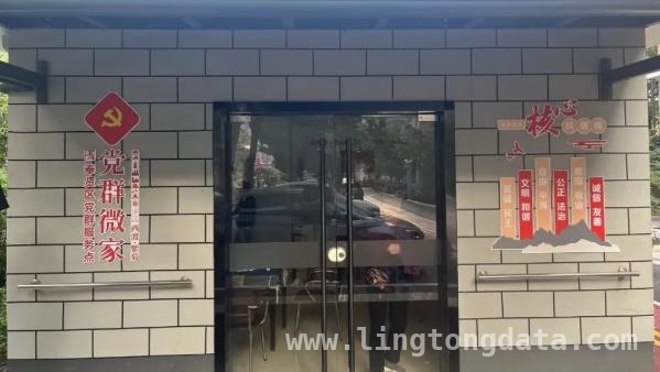 西渡街道基层治理新举措，打造和美社区新典范，西渡街道：以“和美行动”为钥，开启基层治理新篇章