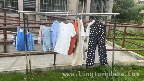 西渡街道基层治理新举措，打造和美社区新典范，西渡街道：以“和美行动”为钥，开启基层治理新篇章