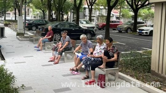 西渡街道基层治理新举措，打造和美社区新典范，西渡街道：以“和美行动”为钥，开启基层治理新篇章