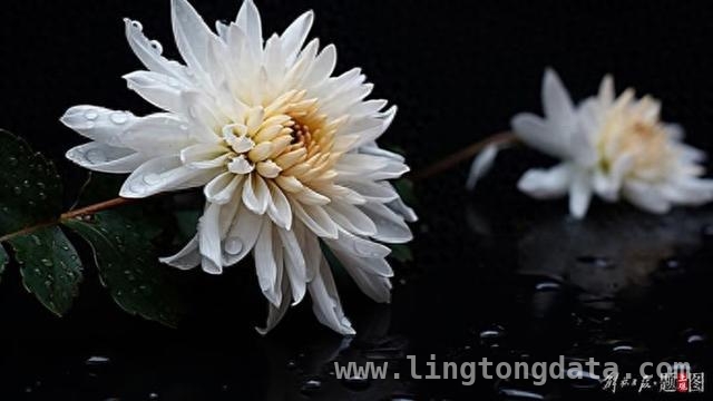 清明，重温18岁禁毒英雄姚元军的壮烈事迹，致敬18岁禁毒英雄姚元军，用热血守护安宁