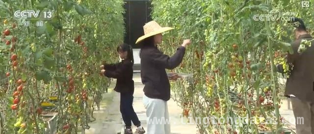 赏春好去处，北京广东乡村旅游魅力足