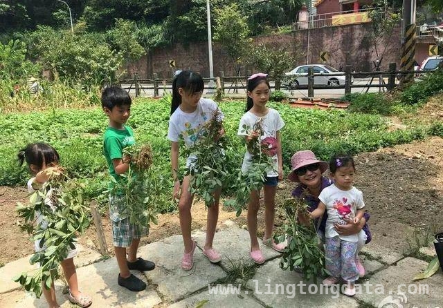 从甜蜜到纷争，大S的人生与徐家的复杂故事，大S离去，徐家这摊乱事该何去何从？