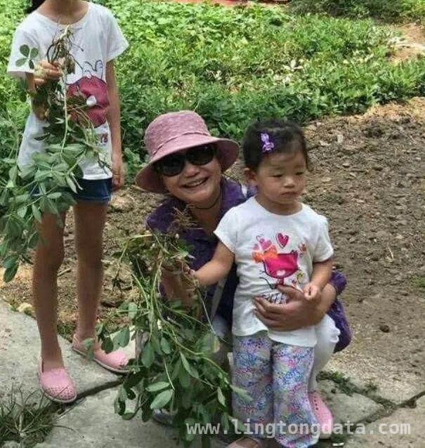 从甜蜜到纷争，大S的人生与徐家的复杂故事，大S离去，徐家这摊乱事该何去何从？