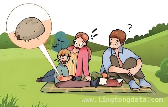 把握清明好时光，用安全指南护航出游，清明时节出游，全方位防灾减灾攻略
