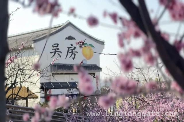 春日邂逅：探秘吴房村的绝美之旅