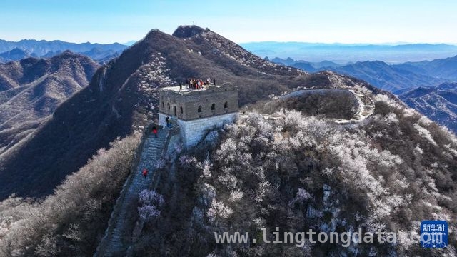 4月5日，见证慕田峪至箭扣长城的春日盛景 山花奔涌长城间，慕田峪至箭扣的春日绮梦