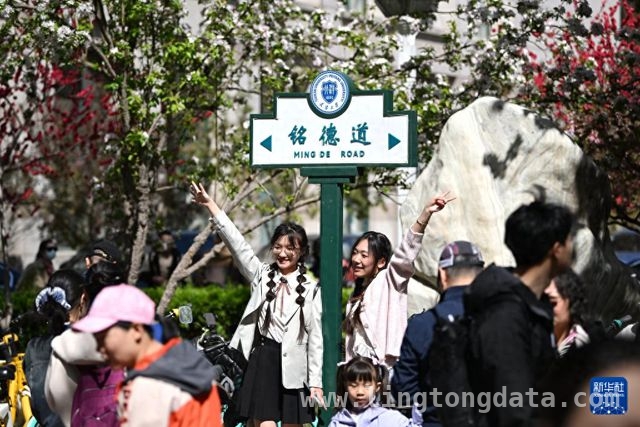 天津大学海棠季，春日浪漫邂逅