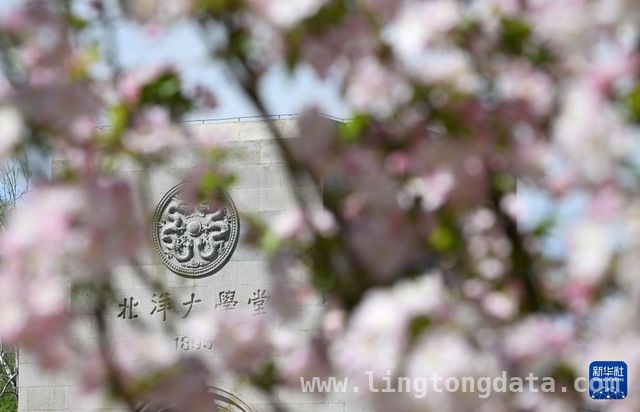天津大学海棠季，春日浪漫邂逅